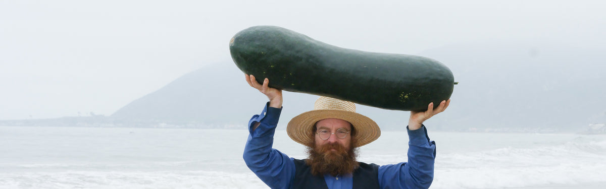 Wax Melon Seeds collection hero