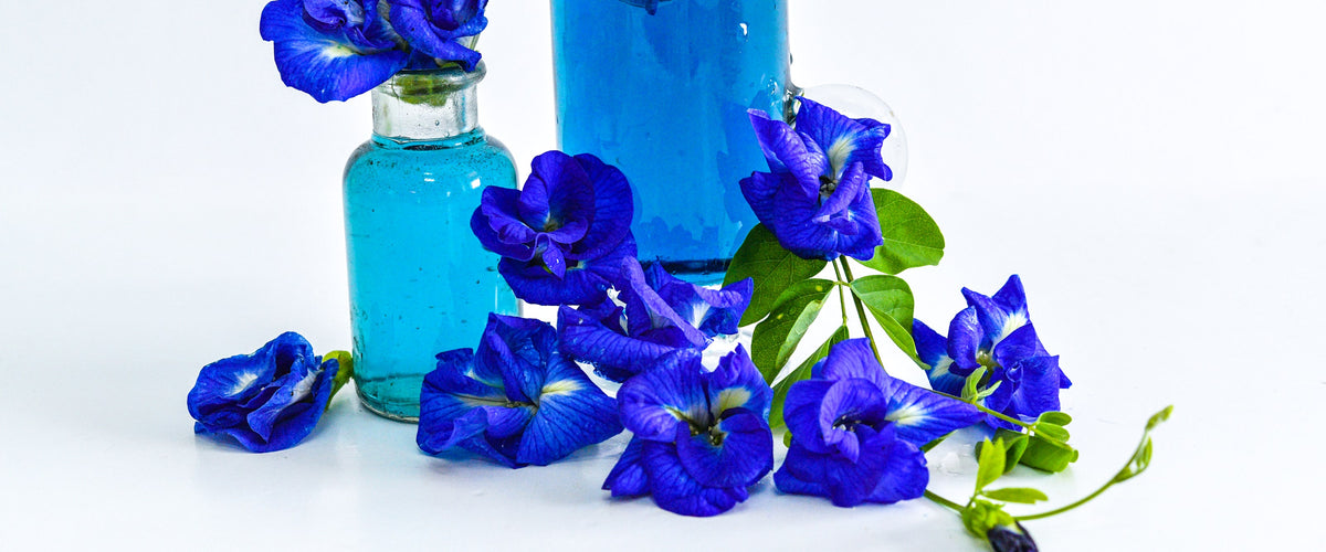 Butterfly Pea Seeds collection hero