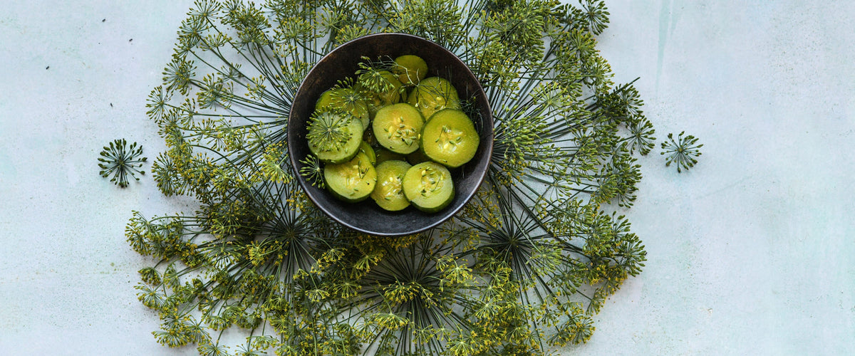 Dill Seeds collection hero