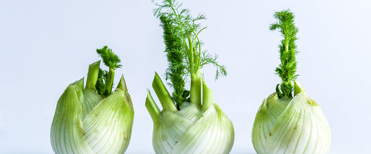 Fennel Seeds collection hero