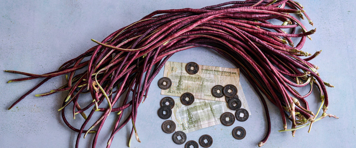 Bean Seeds, Long collection hero