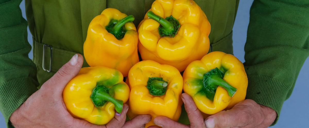 Pepper Seeds collection hero