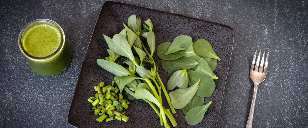 Purslane Seeds collection hero