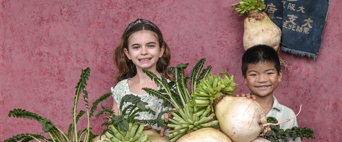 Radish Seeds collection hero