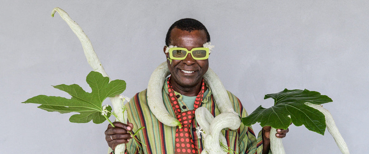 Snake Bean Seeds collection hero