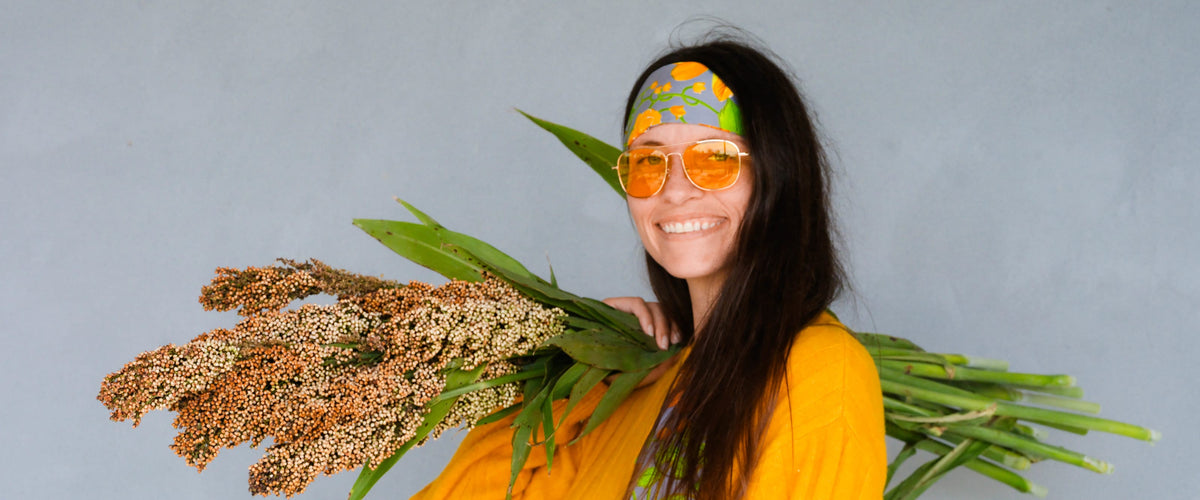 Sorghum Seeds collection hero
