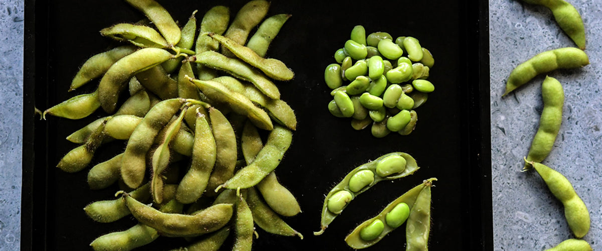 Bean Seeds, Soy collection hero