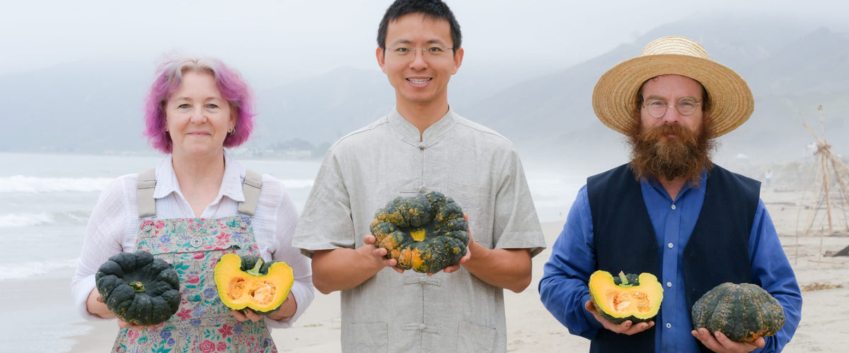Squash Seeds collection hero