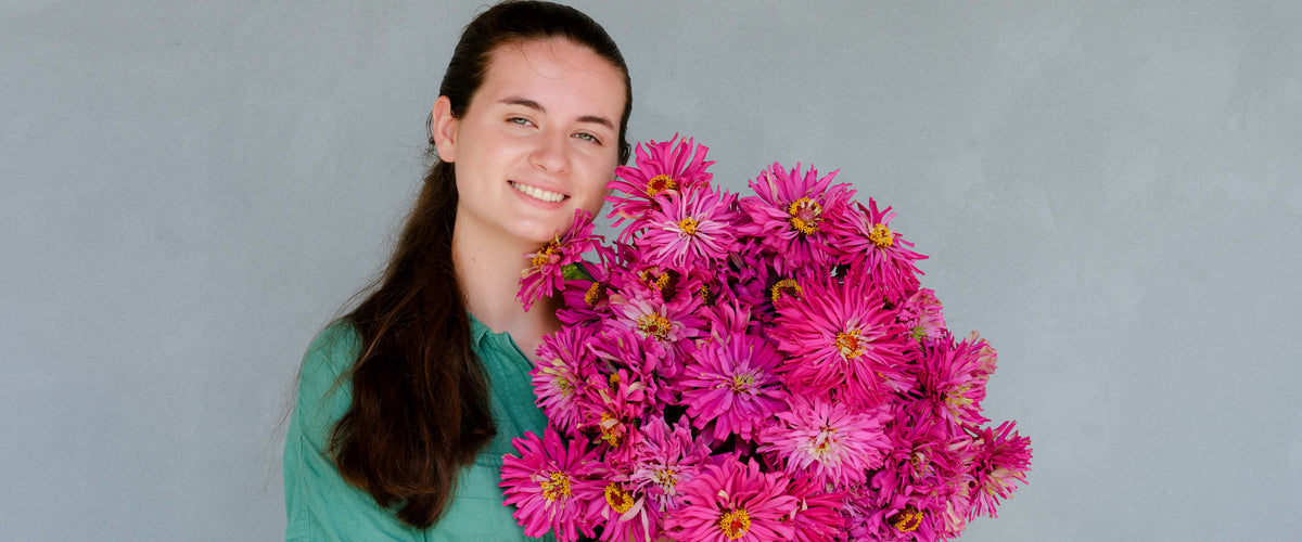 Zinnia Seeds collection hero