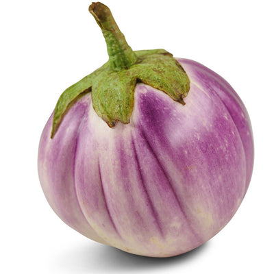 Eggplant Seeds, Rosa Bianca