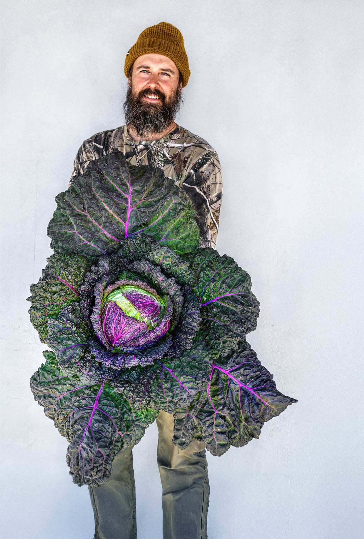 Andrew holding a large purple-veined January King cabbage