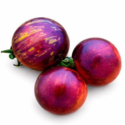 Tomato Seeds, Black Strawberry
