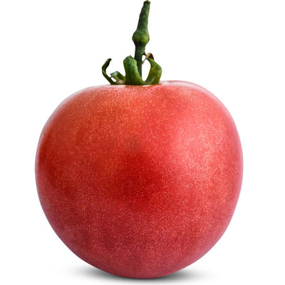 Tomato Seeds, Ozark Pink