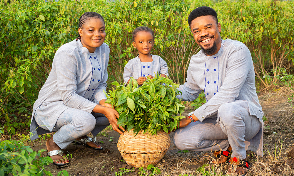 Solomon and Rachel Amuzu with their child, kneeling beside a basket of freshly harvested greens