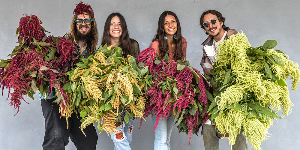 Four Baker Creek crew members holding armfuls of amaranth