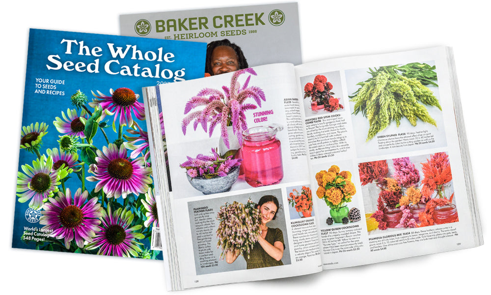 The Whole Seed Catalog open to a flower seed spread