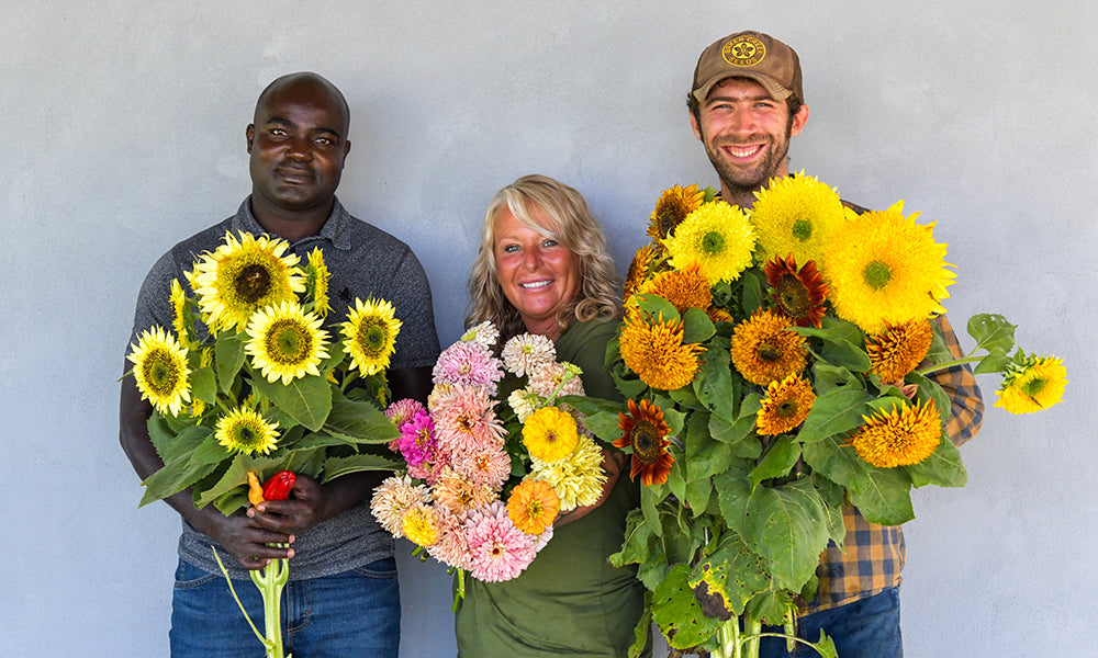 Three members of the plant-breeding team holding armfuls of sunflowers and zinnias