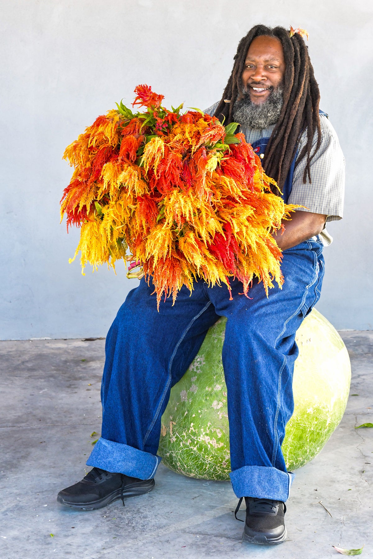 A Baker Creek grower with an armful of fiery celosia blooms
