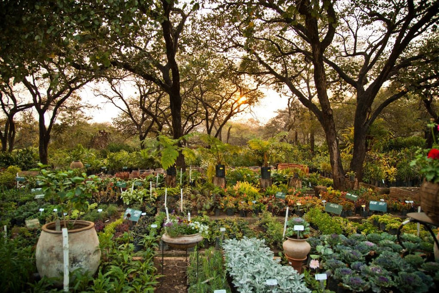 What is Biodynamic Agriculture?