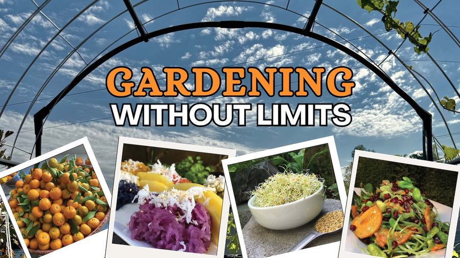 Wendi Phan's Top Tips for Year-Round Gardening