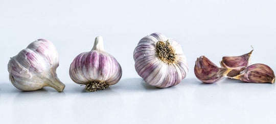 Alli-yum: Baker Creek's No-Nonsense Guide to Planting Garlic