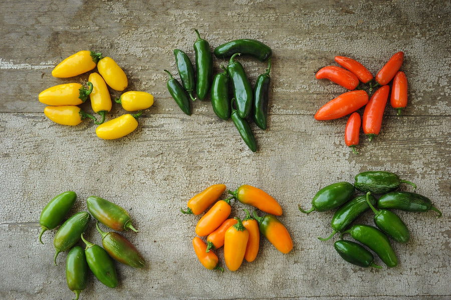 Jalapenos: America's Favorite Pepper