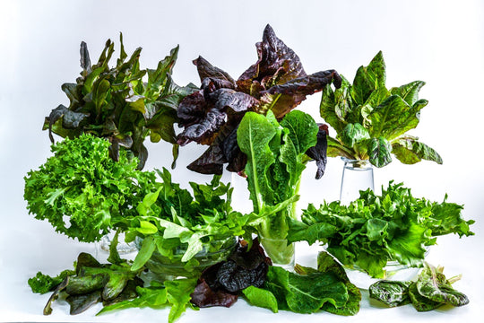 Top Greens for Indoor Winter Growing