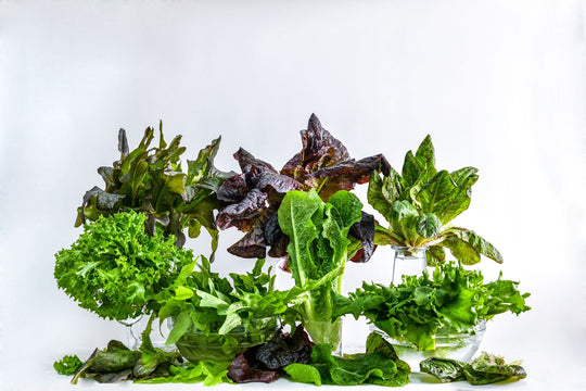 Top Spring Varieties for Impatient Gardeners