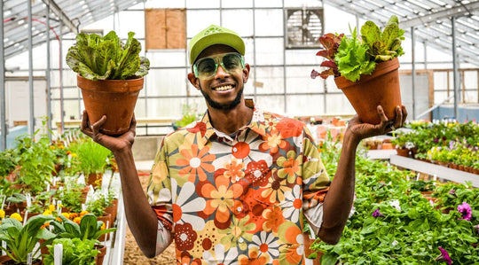 Easy Edible Plants to Grow Inside in Winter