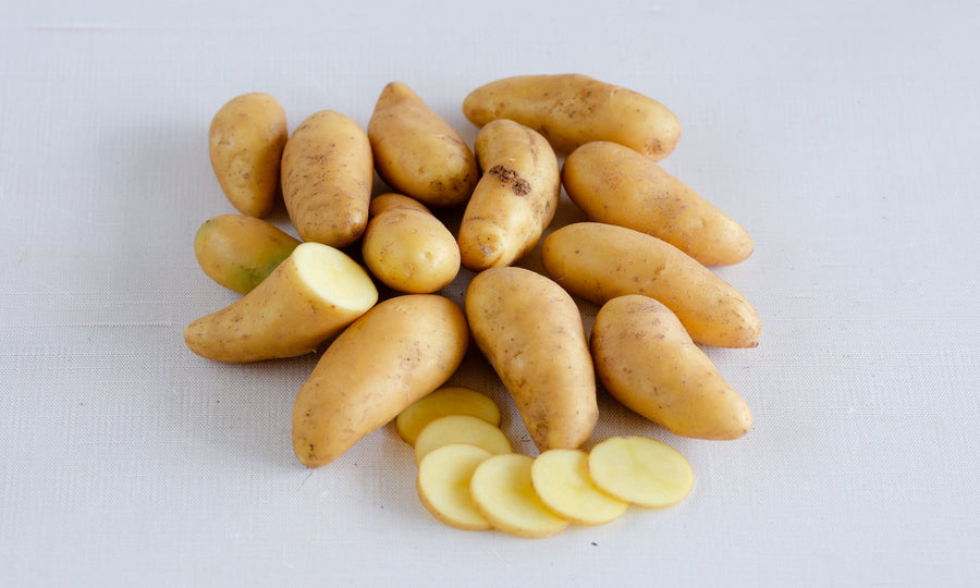 'Tis the Season to Plant Taters