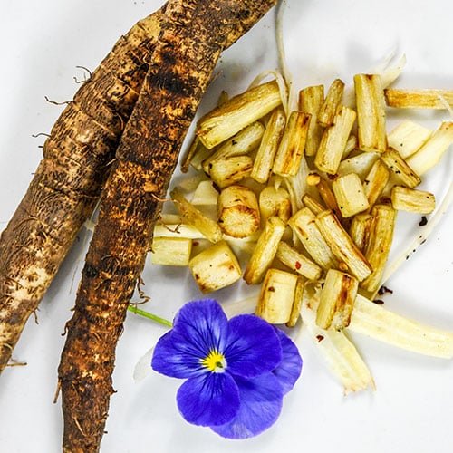 How To Grow Salsify Seeds