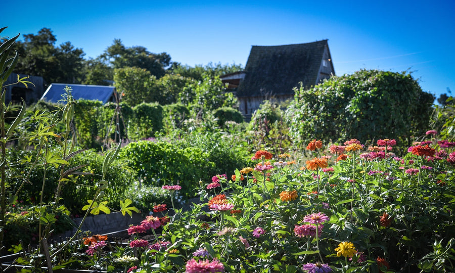 What Is the #1 Way To Grow a Better Garden?