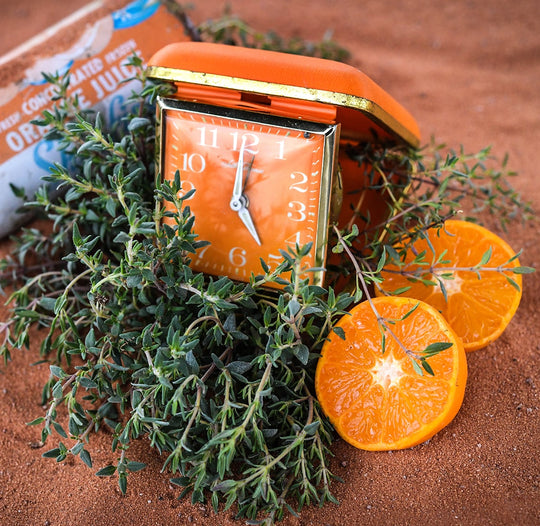 Our Favorite Herbs to Brighten the Winter Kitchen