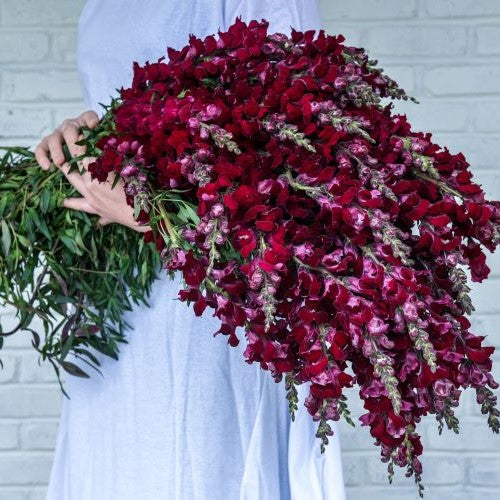 What's the Story on Goth Gardening?