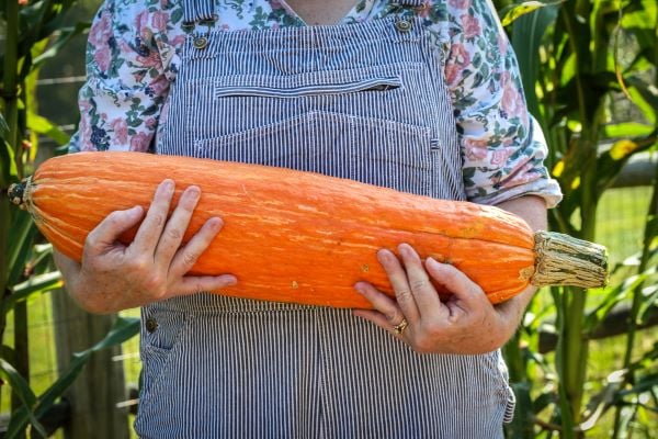 Gete Okosomin: The Story Of the “Cool Old Squash”