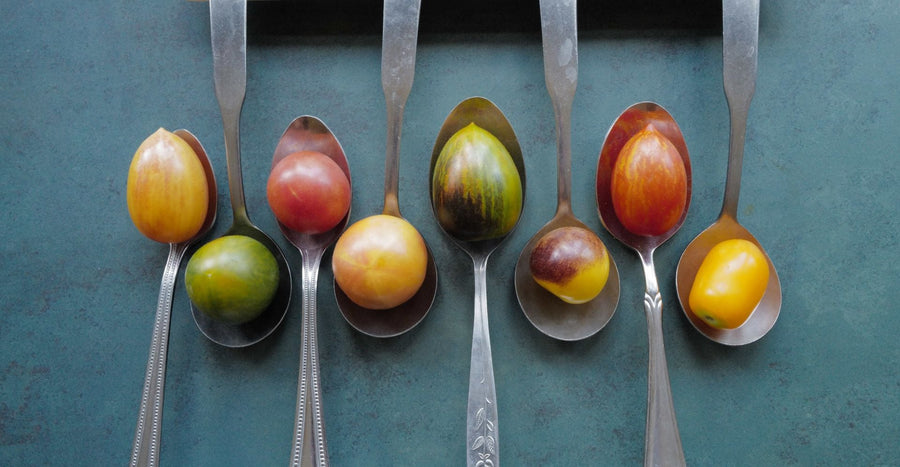 Our Favorite Cherry Tomatoes