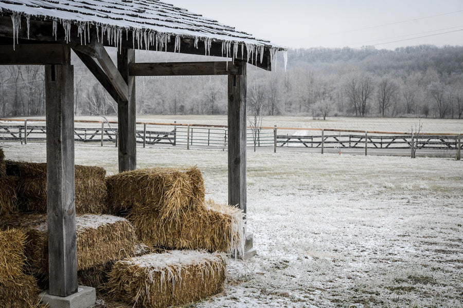 How To Prepare Northern Gardens For Winter
