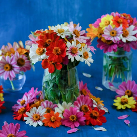 What Will You Be Planting This Spring?