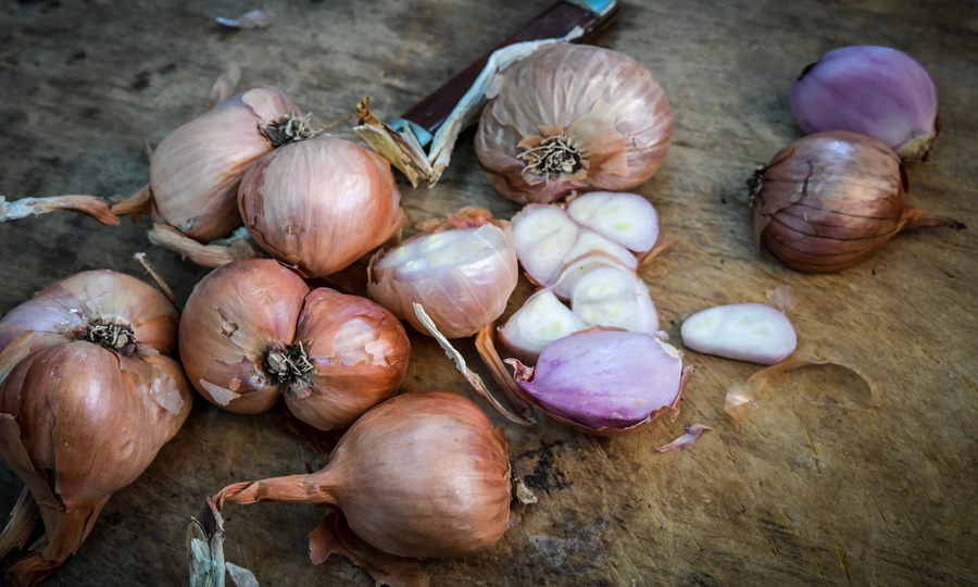Shallots: The Champagne of Onions (and Why You Should Plant Them)
