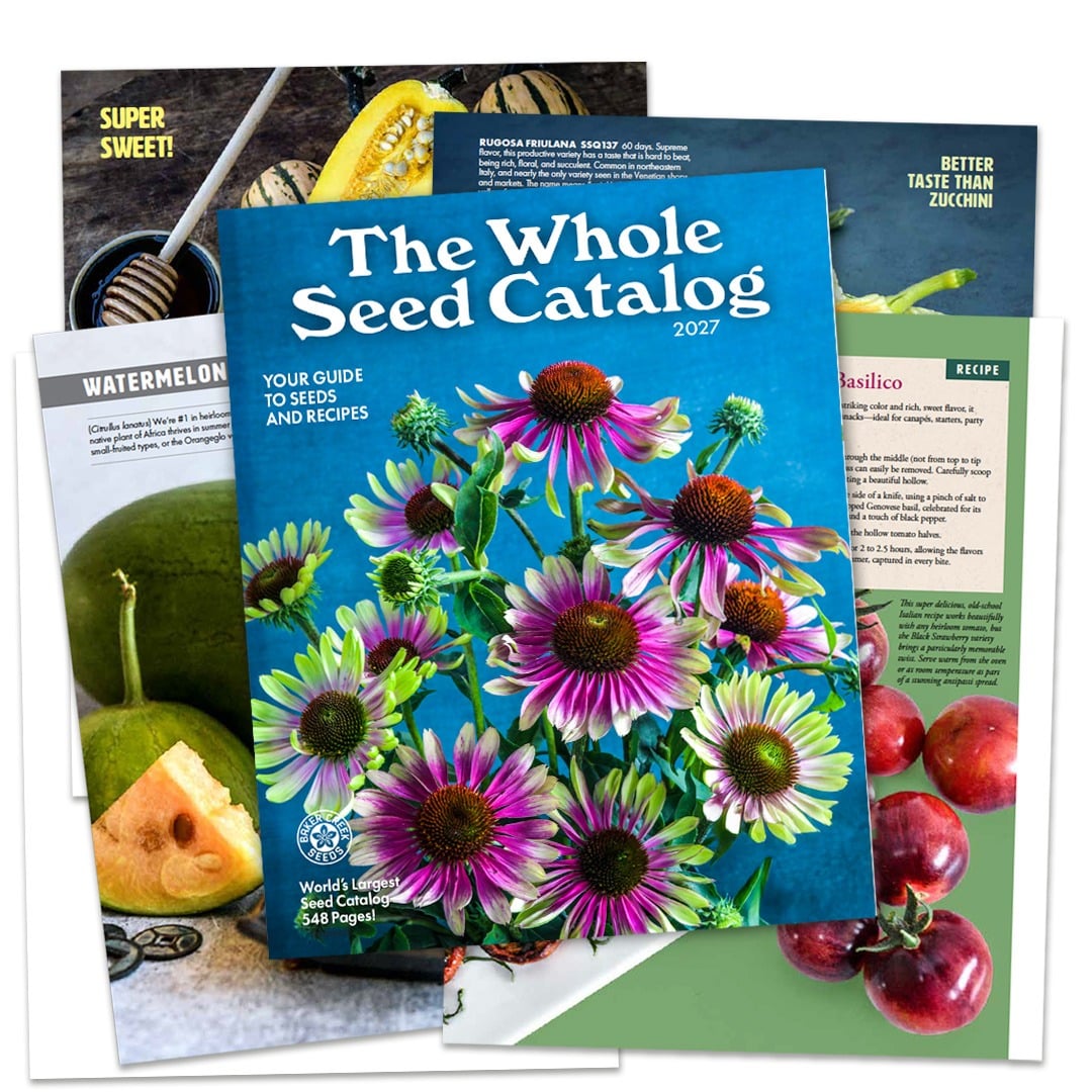 PRE-ORDER 2027 The Whole Seed Catalog
