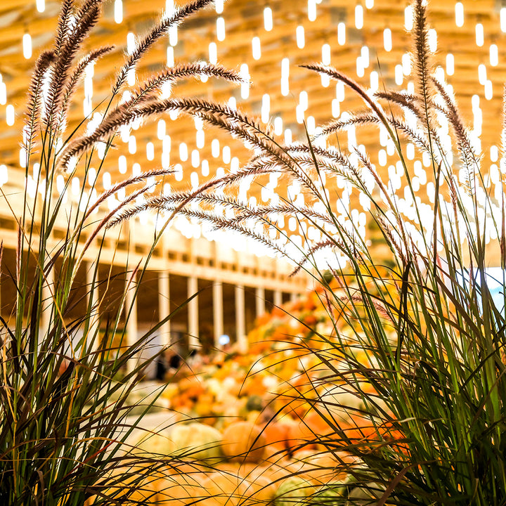The National Heirloom Expo September 26 & 27, 2027 (per person)