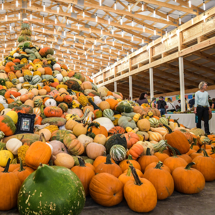 The National Heirloom Expo September 26 & 27, 2027 (per person)