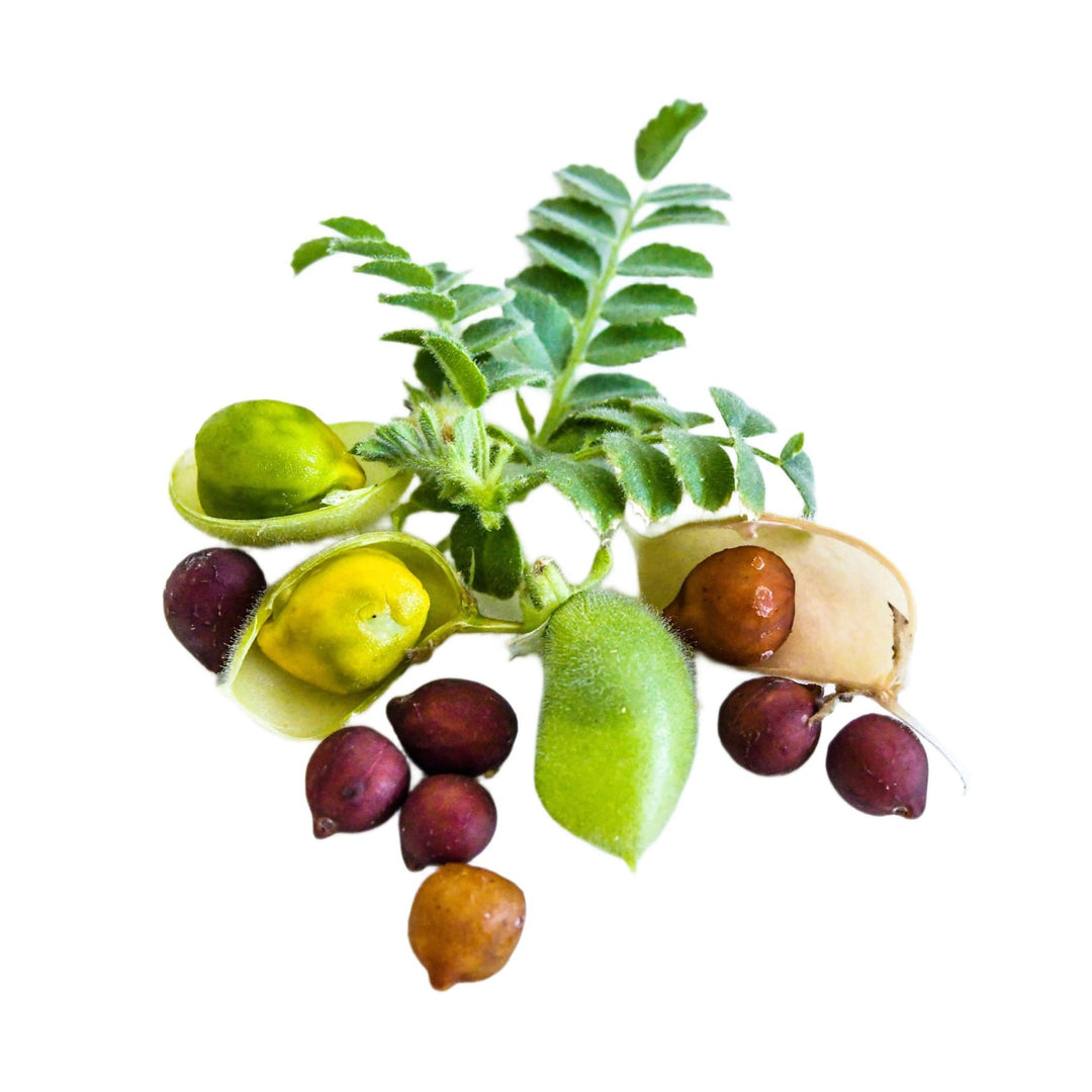 Rosso della Murgia