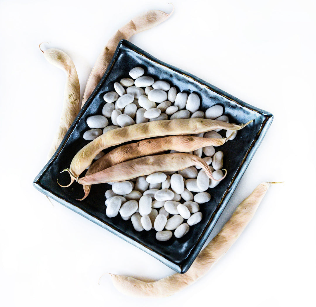Dried Fatman Pole Beans in a black dish with dried pods on white.