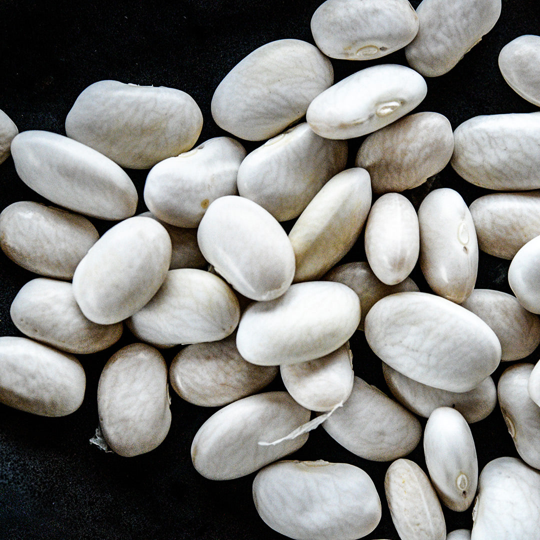 A close-up macro view of dried white Fatman Pole Beans.