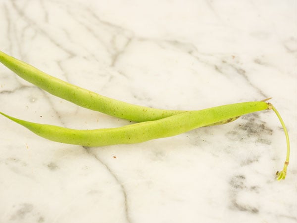 Bean Seeds, Magpie Bean