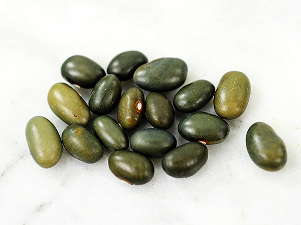 Bean Seeds, Malawi Green