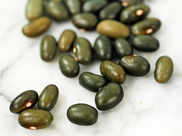 Bean Seeds, Malawi Green