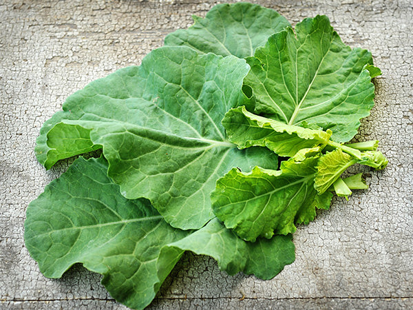 Collard Seeds, Yellow Cabbage