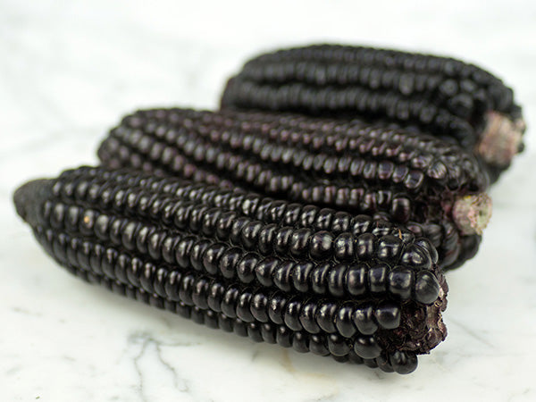 Corn Seeds, Maiz Morado or Kulli